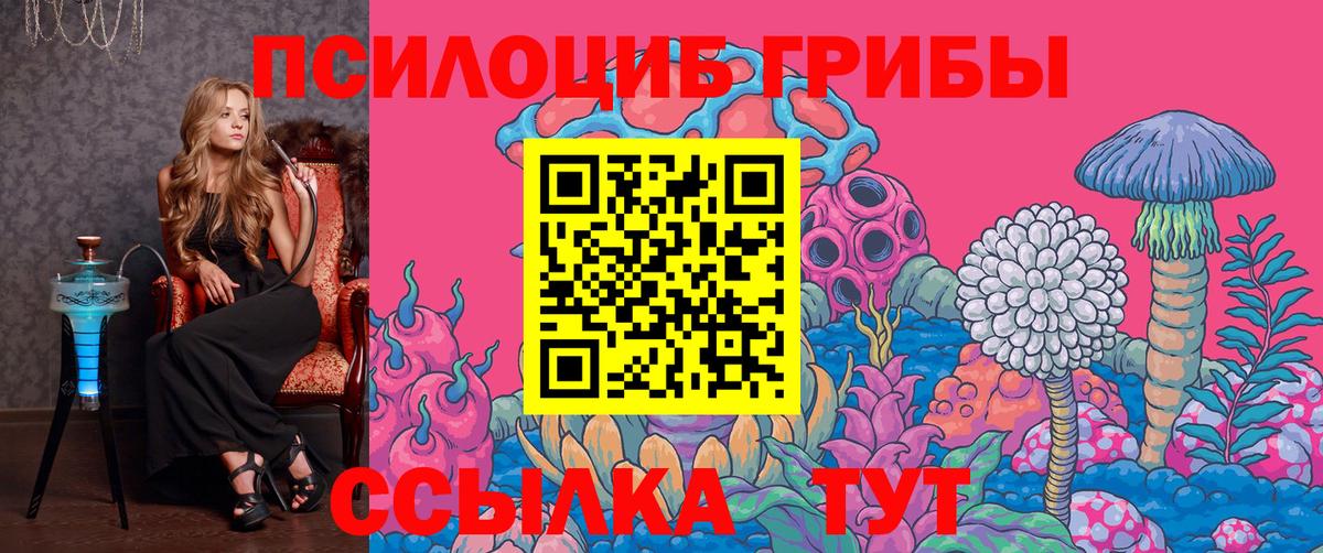 Галлюциногенные грибы ЛСД  Вход с VPN  купить наркоту  Мытищи 