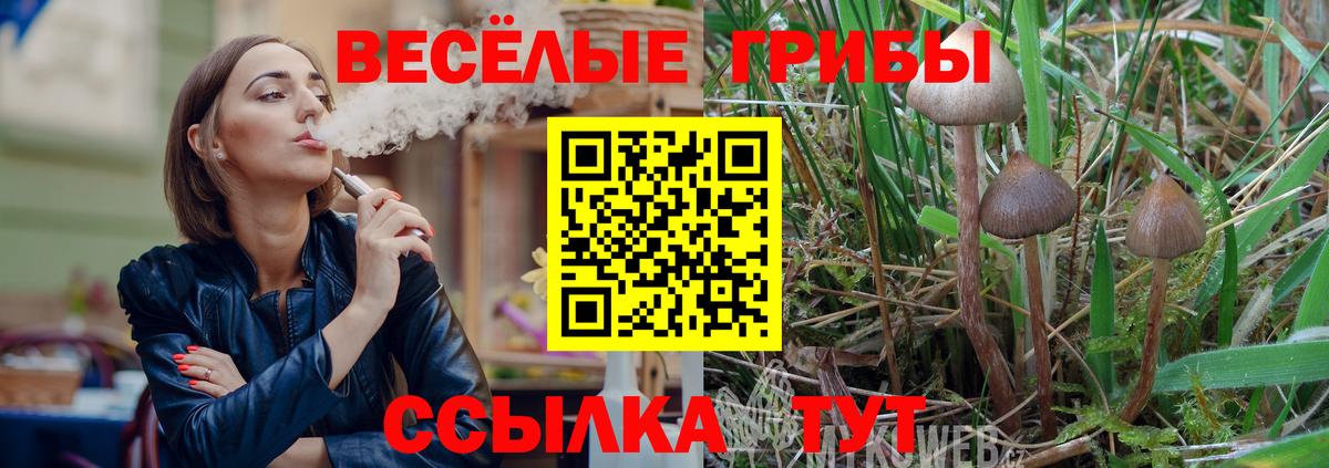 Псилоцибиновые грибы Psilocybe Мытищи
